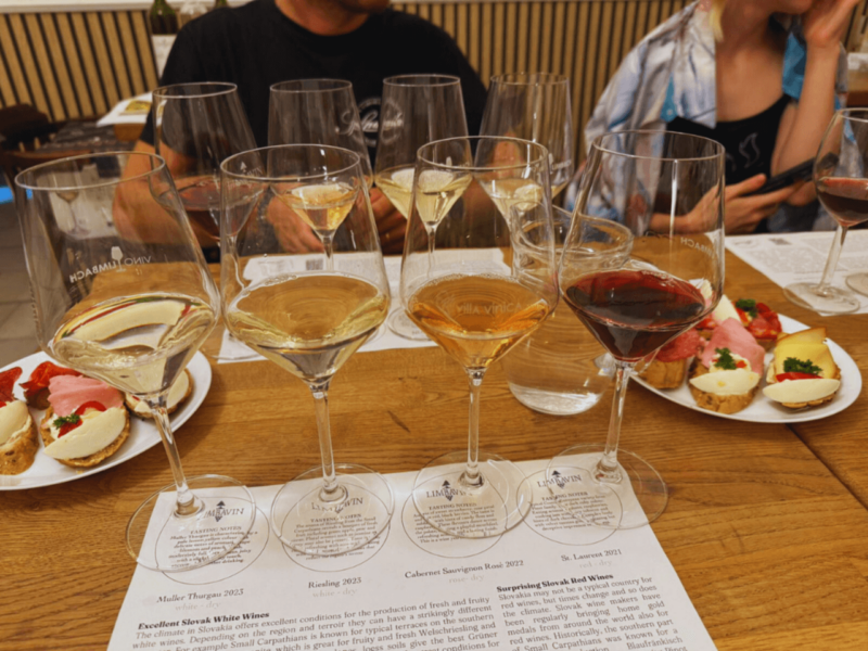 Bratislava: Wine tasting in the city center featuring glasses of white, rosé, and red wine paired with traditional Slovak canapés in a cozy setting