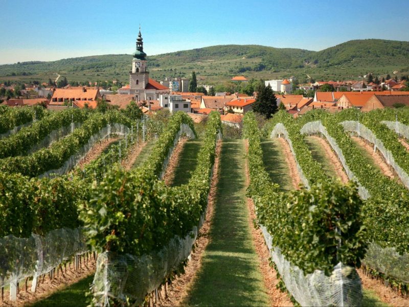 Small Carpathian Wine Roa