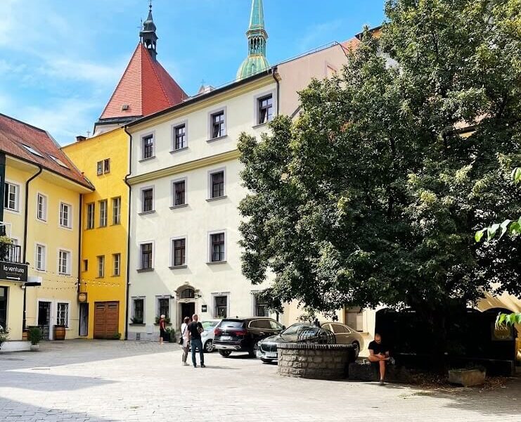 The courtyard of Academia Istropolitana Bratislava with surrounding buildings and a prominent tree in the center