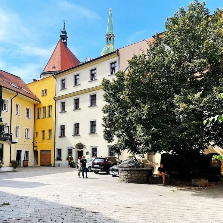 The courtyard of Academia Istropolitana Bratislava with surrounding buildings and a prominent tree in the center