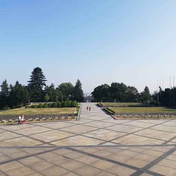 Wide view of the Slavín Monument cemetery in Bratislava, with rows of graves, green trees, and a clear blue sky in the background.